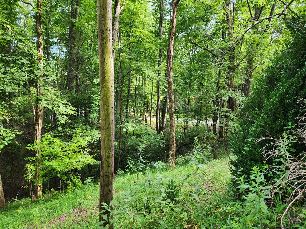 316 Matlock Creek Rd
