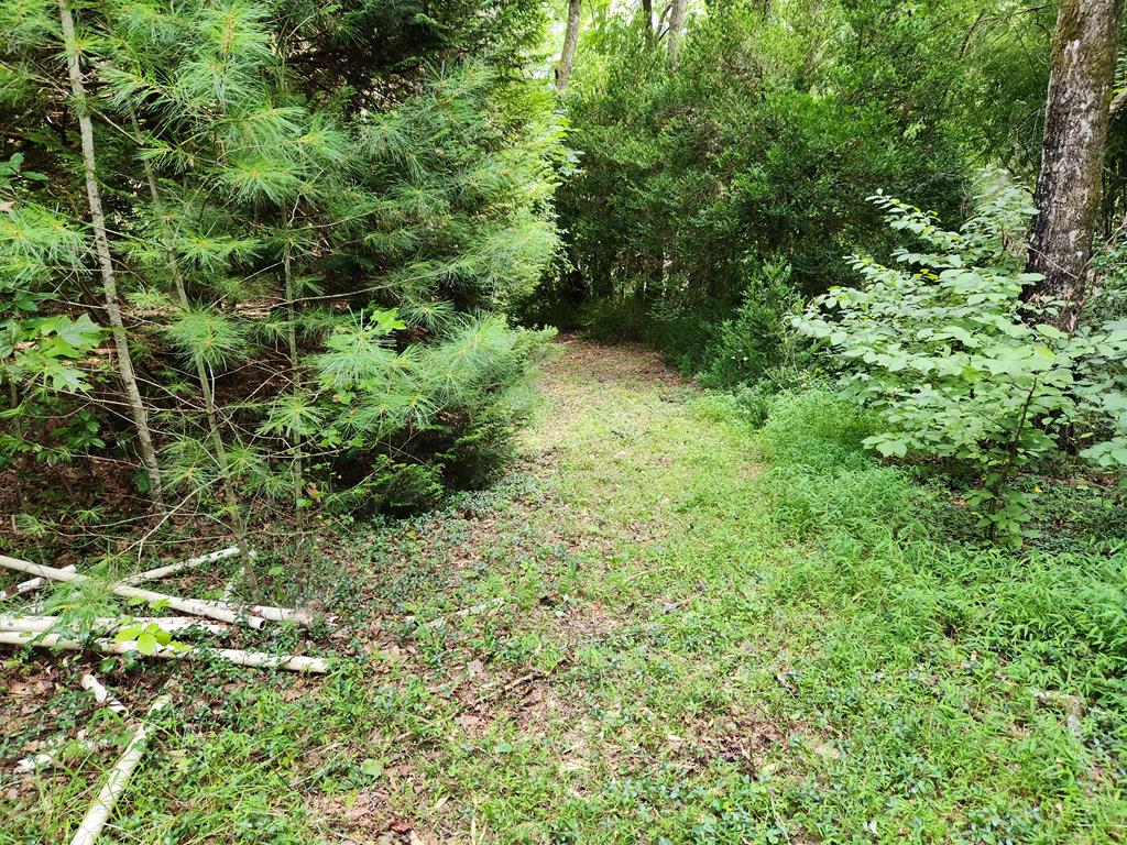 316 Matlock Creek Rd