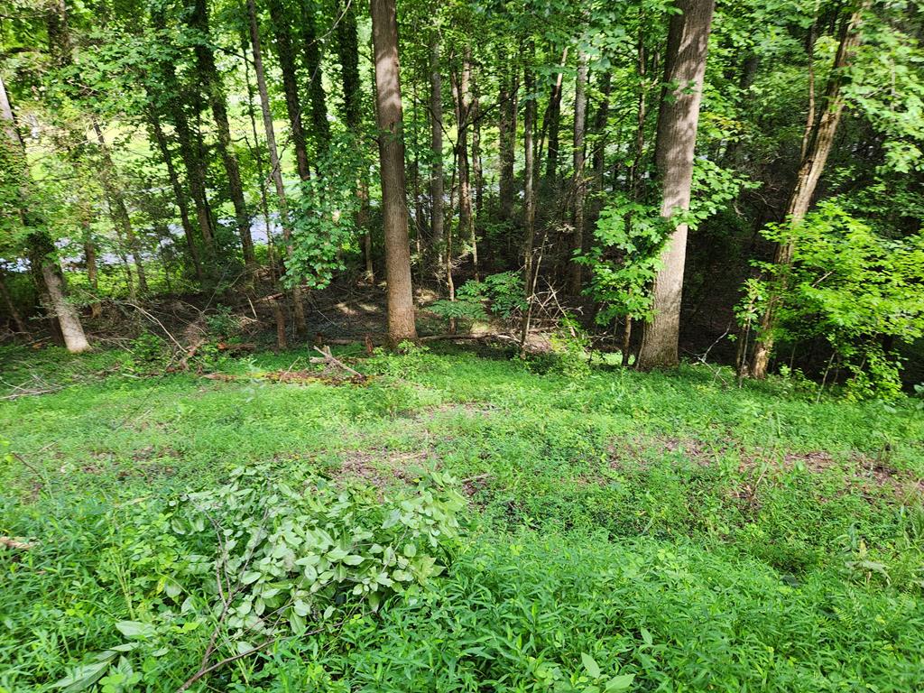 316 Matlock Creek Rd