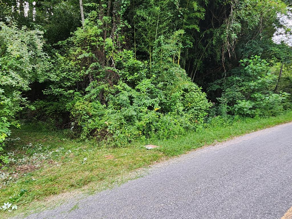 316 Matlock Creek Rd