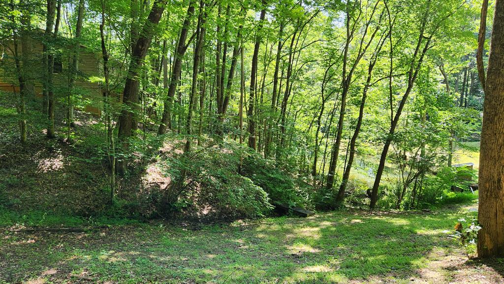 2137 Matlock Creek Rd