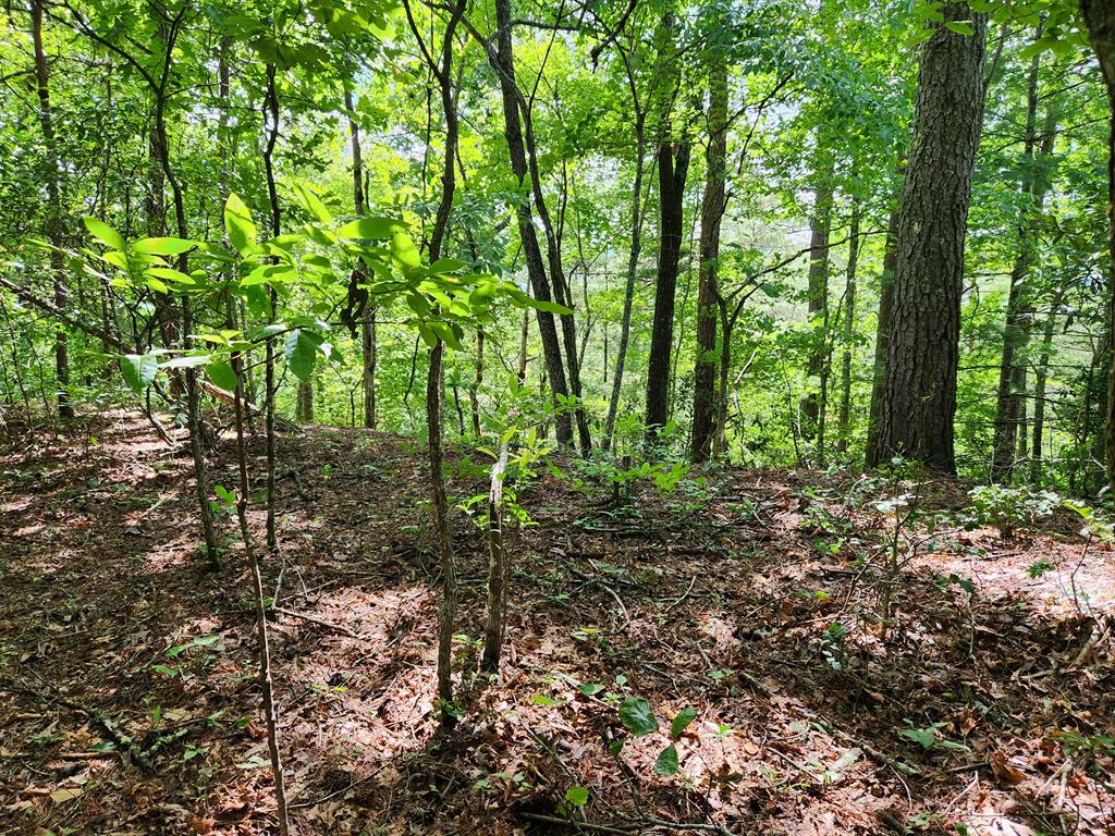 00 Sunset Trace Trail