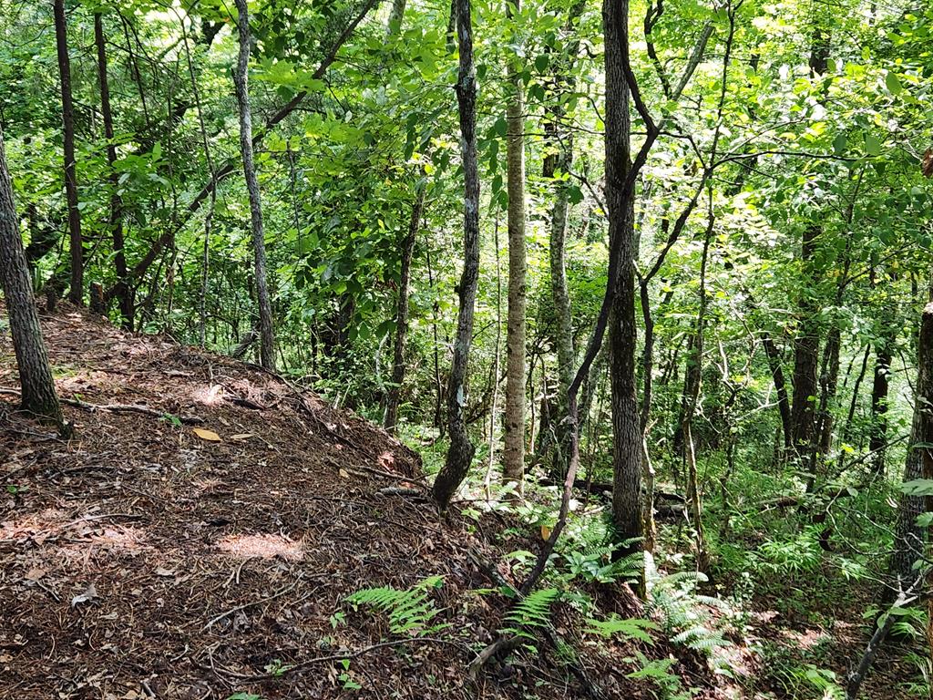 00 Sunset Trace Trail