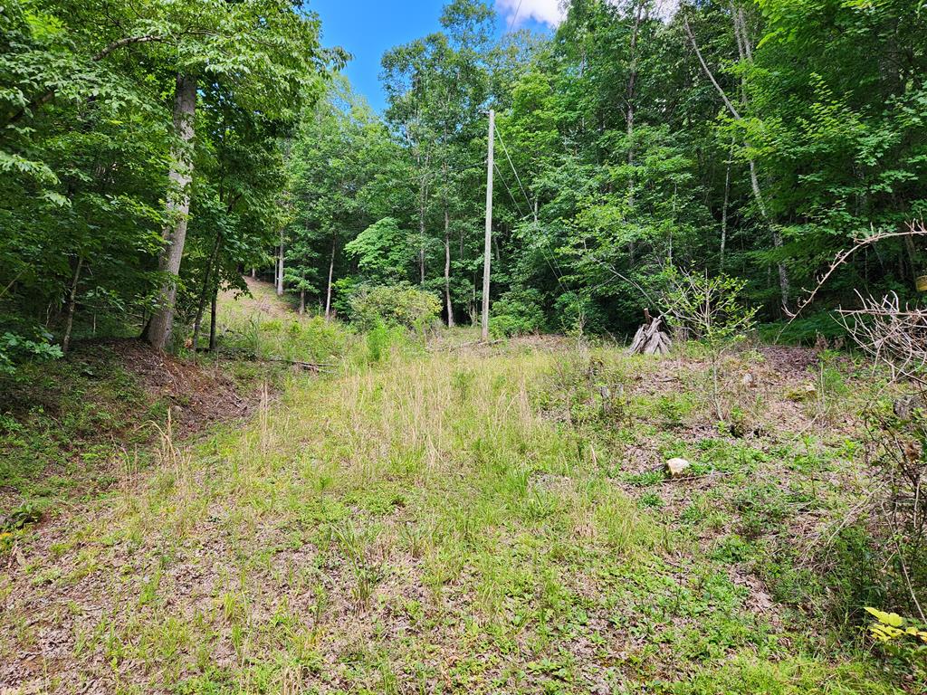00 Sunset Trace Trail
