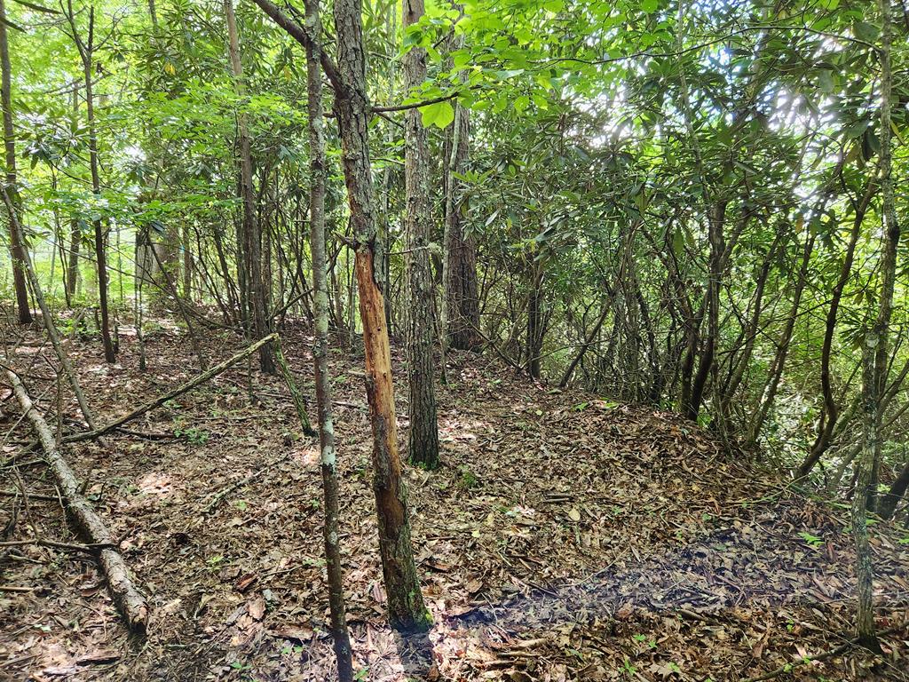 00 Sunset Trace Trail