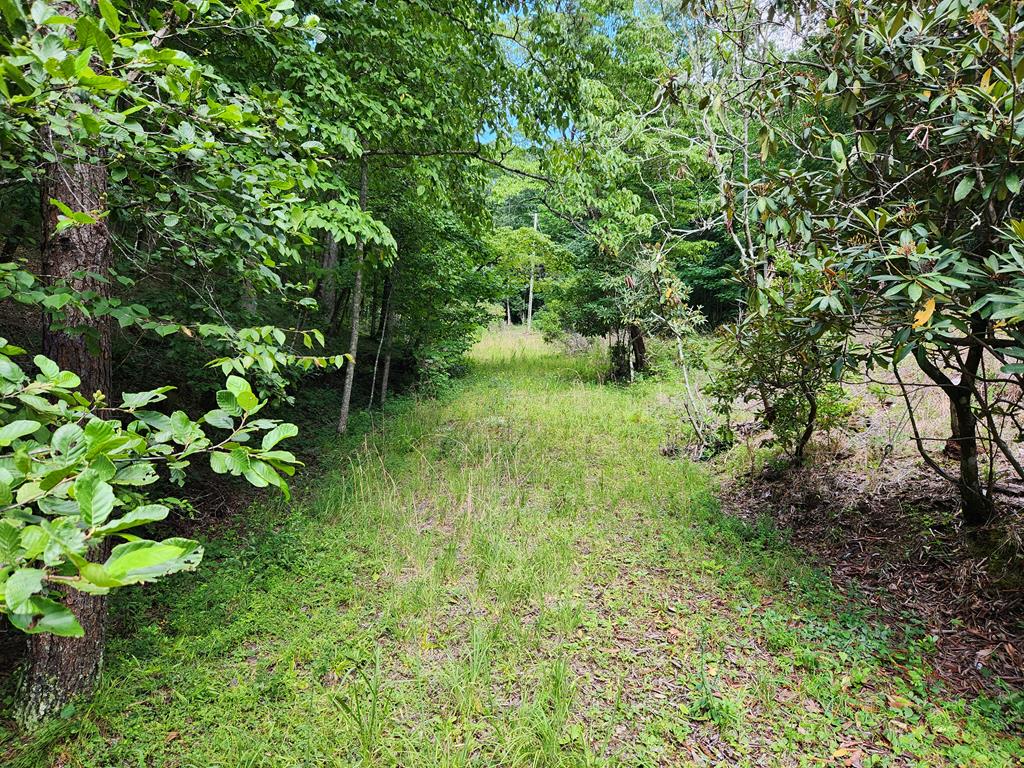 00 Sunset Trace Trail