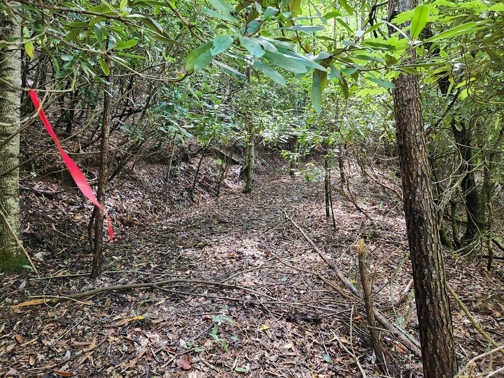 00 Sunset Trace Trail