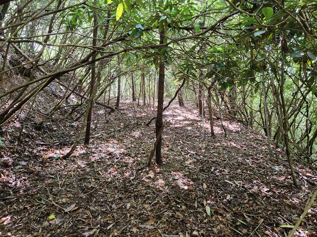 00 Sunset Trace Trail