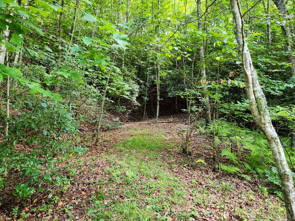 00 Sunset Trace Trail