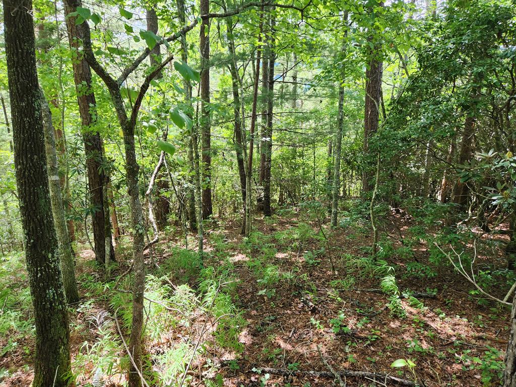 00 Sunset Trace Trail