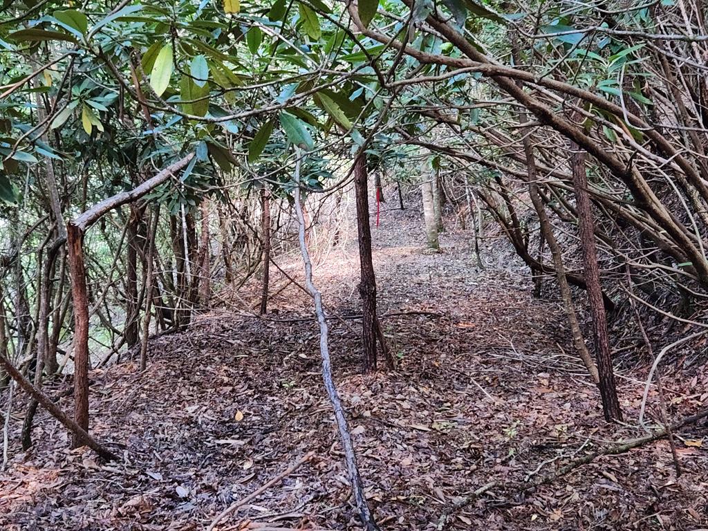 00 Sunset Trace Trail