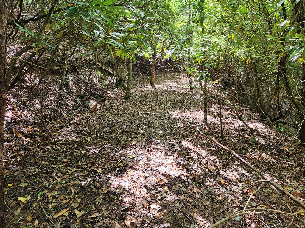 00 Sunset Trace Trail