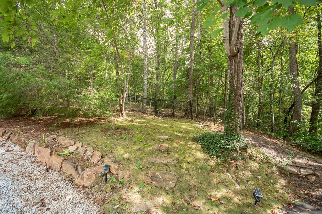 2311 Jack Cabe Rd