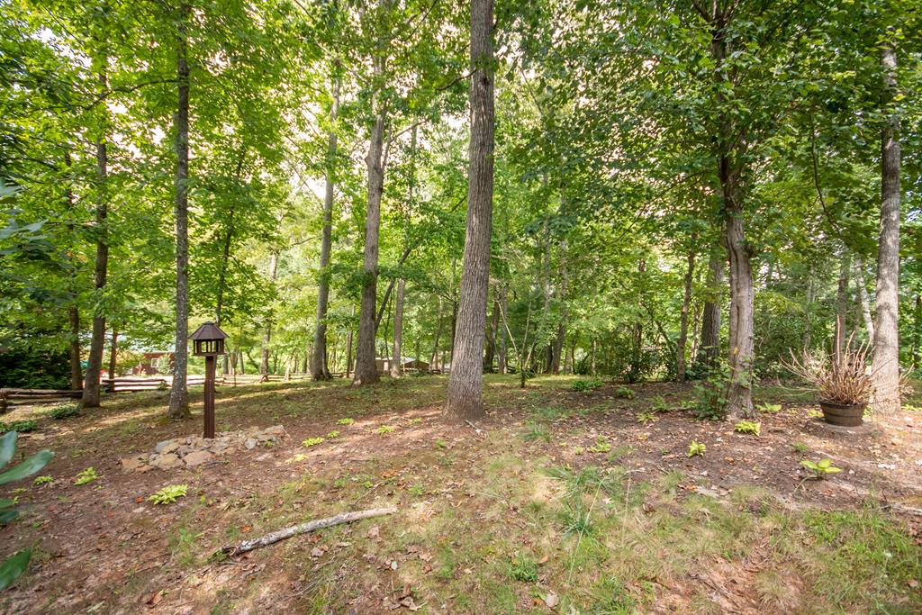2311 Jack Cabe Rd
