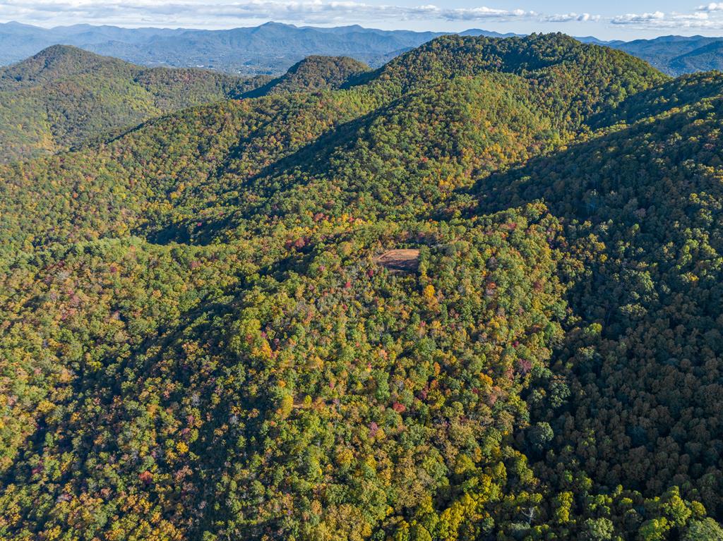 1665 Wilkes Knob Road