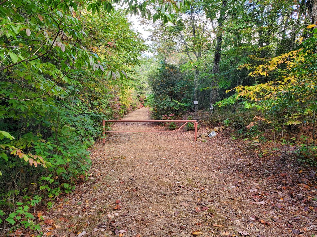 1665 Wilkes Knob Road