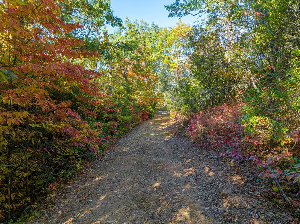 1665 Wilkes Knob Road