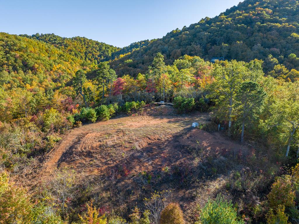 1665 Wilkes Knob Road