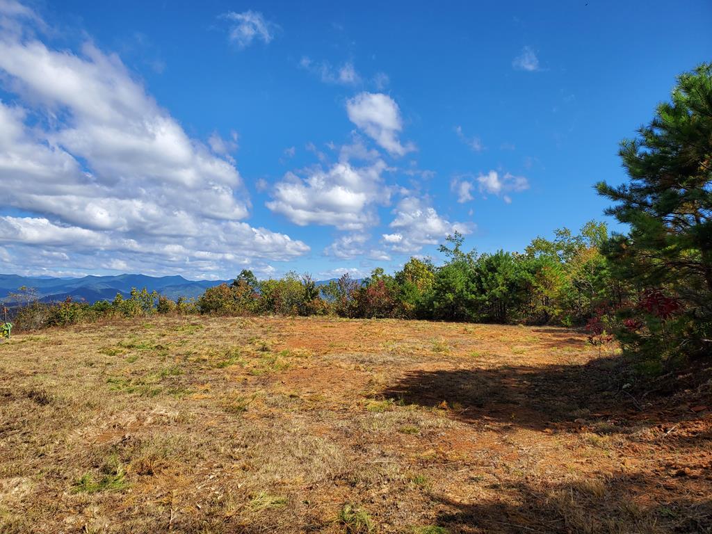 1665 Wilkes Knob Road