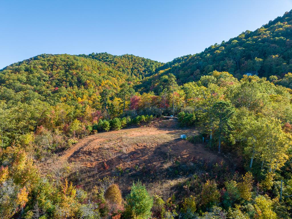 1665 Wilkes Knob Road