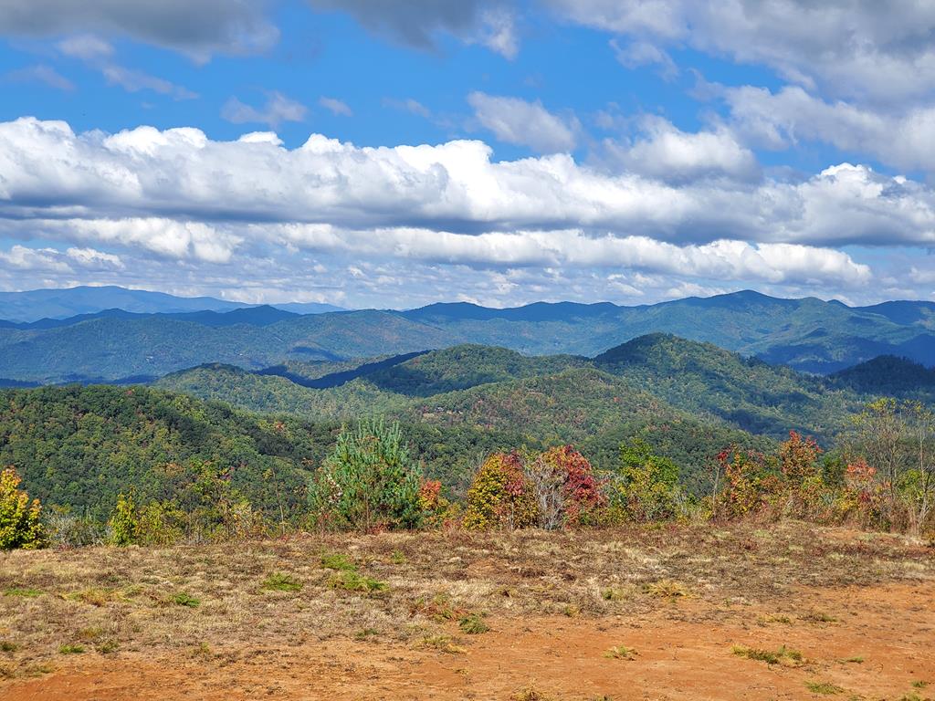 1665 Wilkes Knob Road