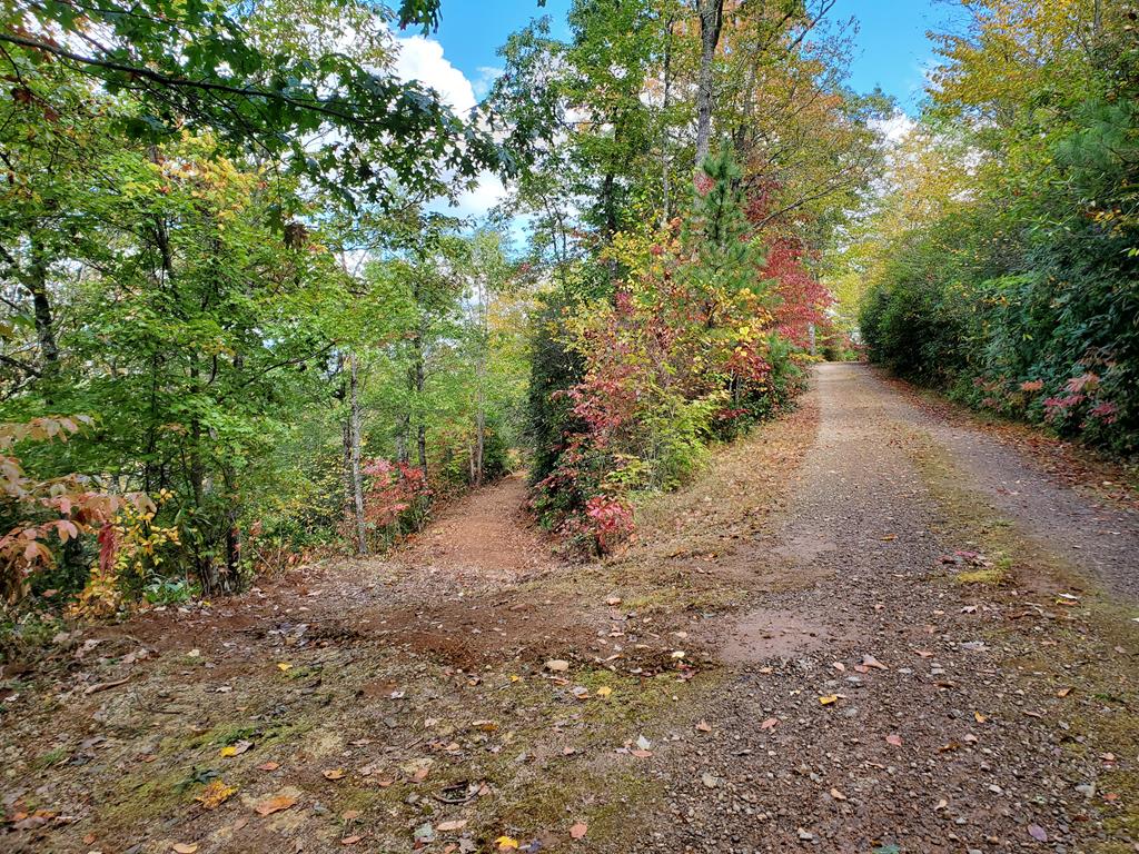 1665 Wilkes Knob Road