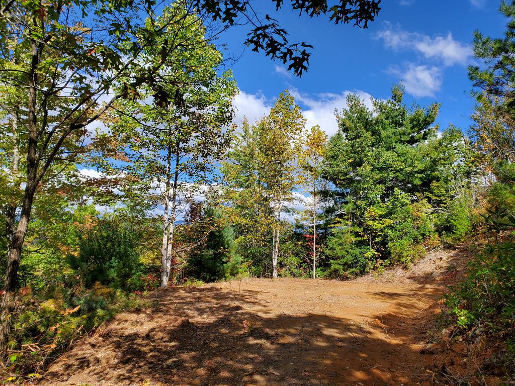 1665 Wilkes Knob Road
