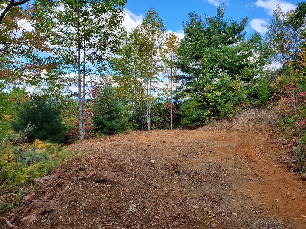 1665 Wilkes Knob Road