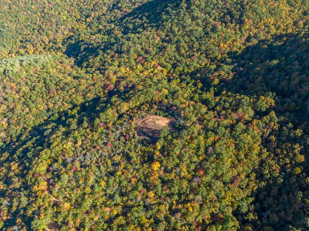 1665 Wilkes Knob Road