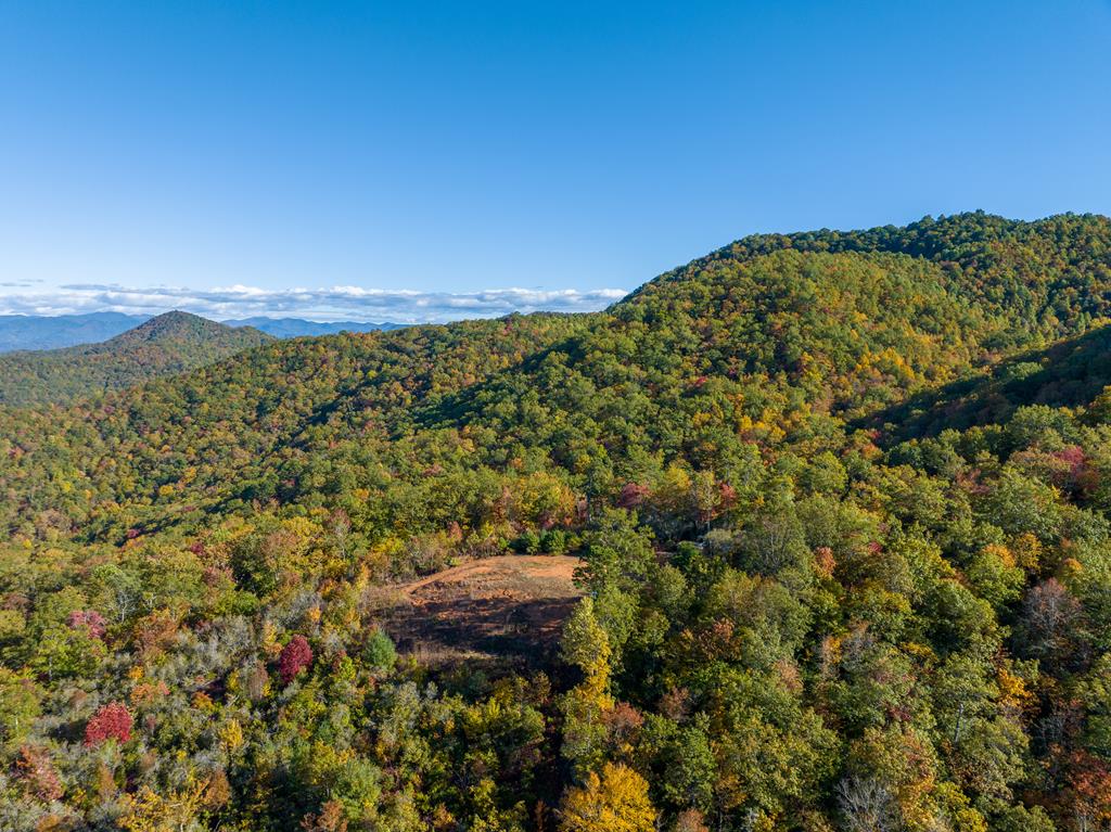 1665 Wilkes Knob Road