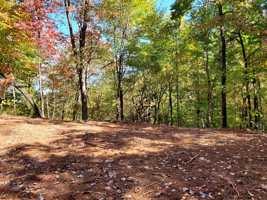 1665 Wilkes Knob Road