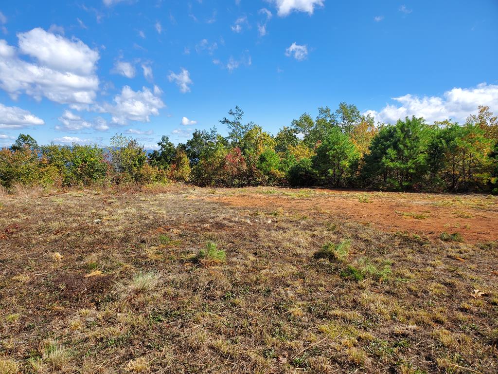1665 Wilkes Knob Road