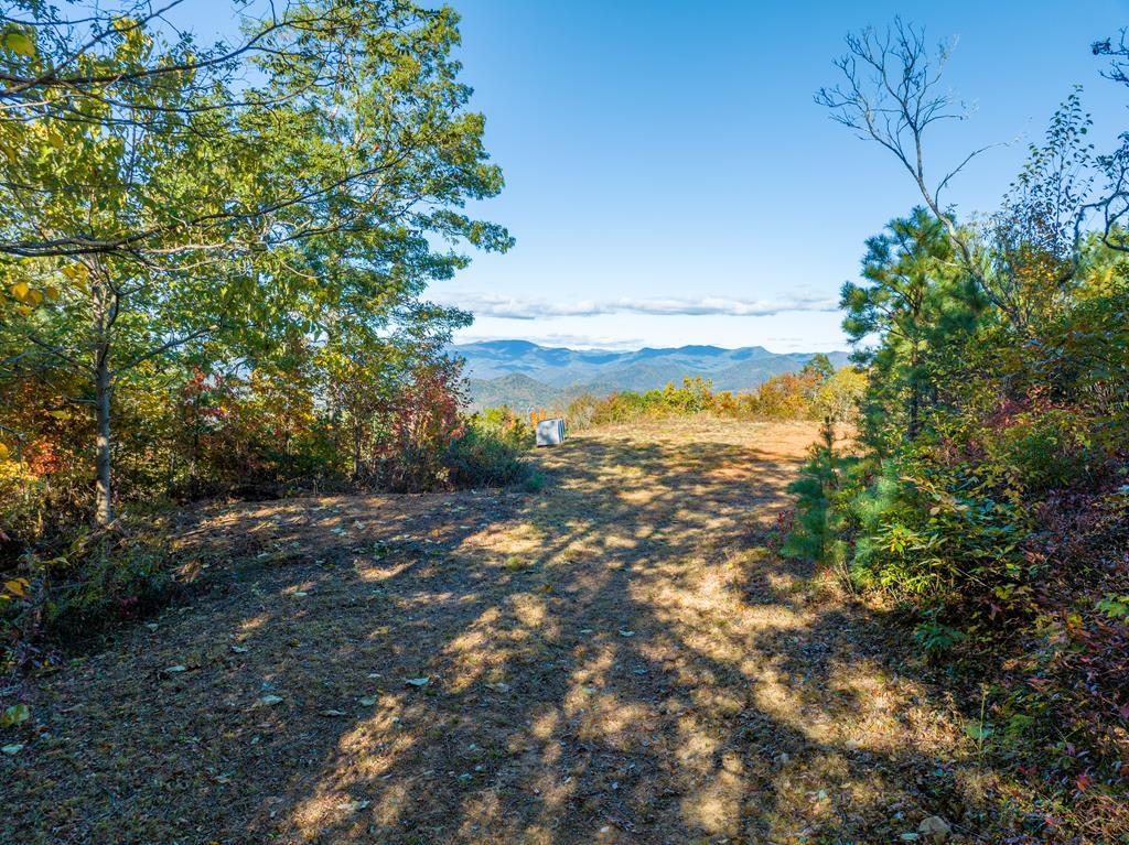 1665 Wilkes Knob Road