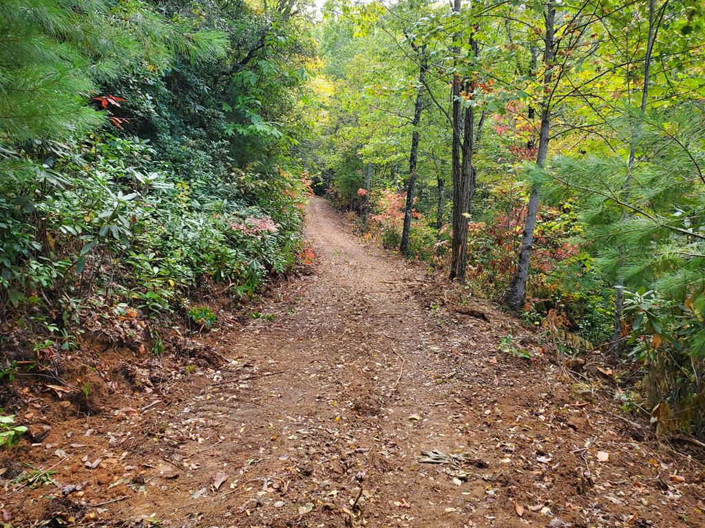 1665 Wilkes Knob Road