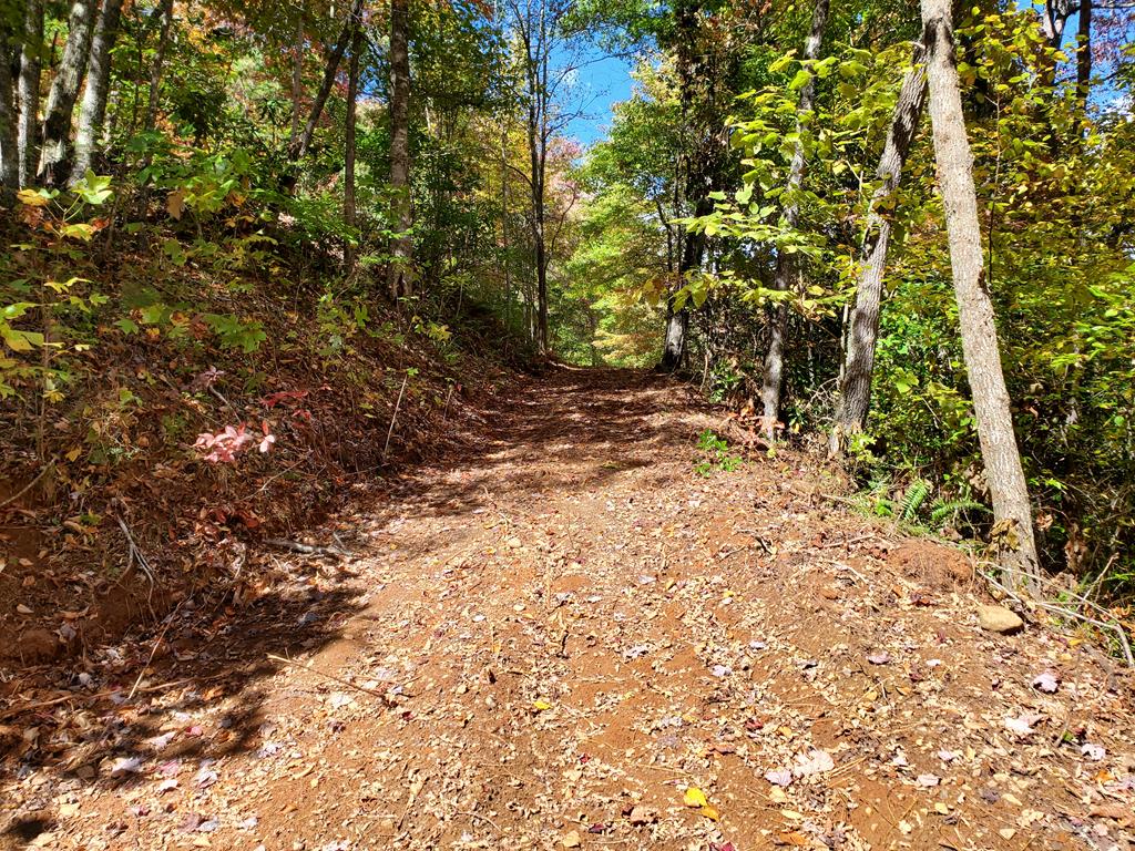 1665 Wilkes Knob Road