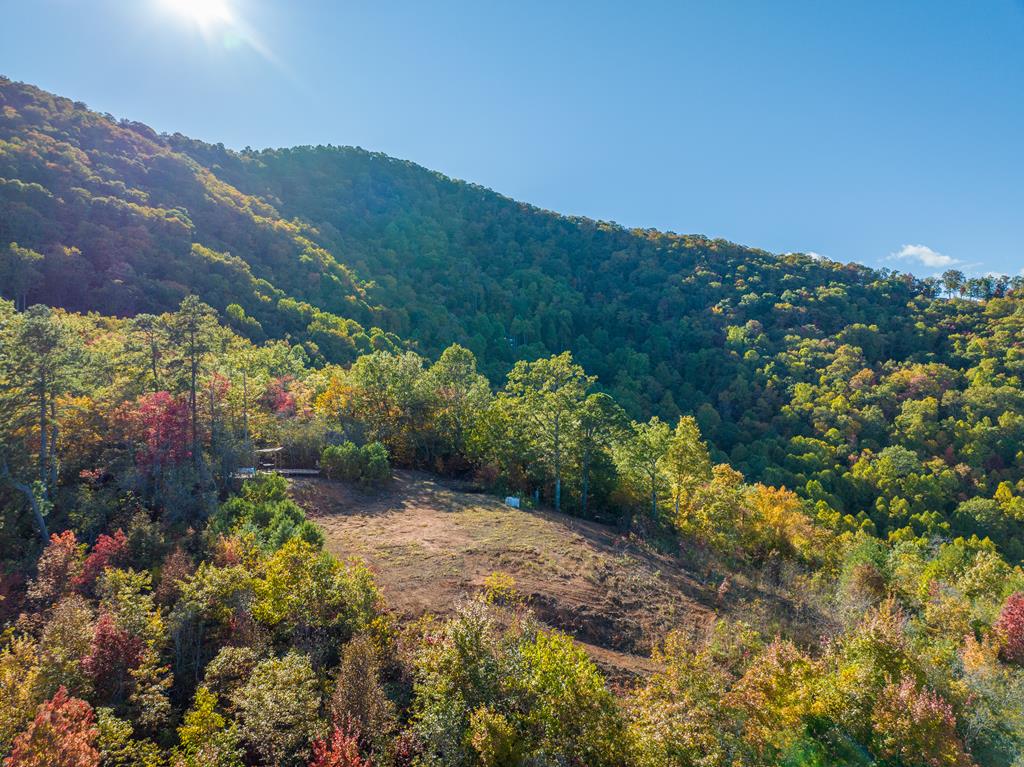 1665 Wilkes Knob Road