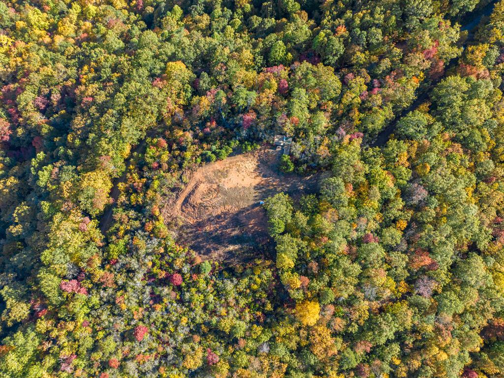 1665 Wilkes Knob Road