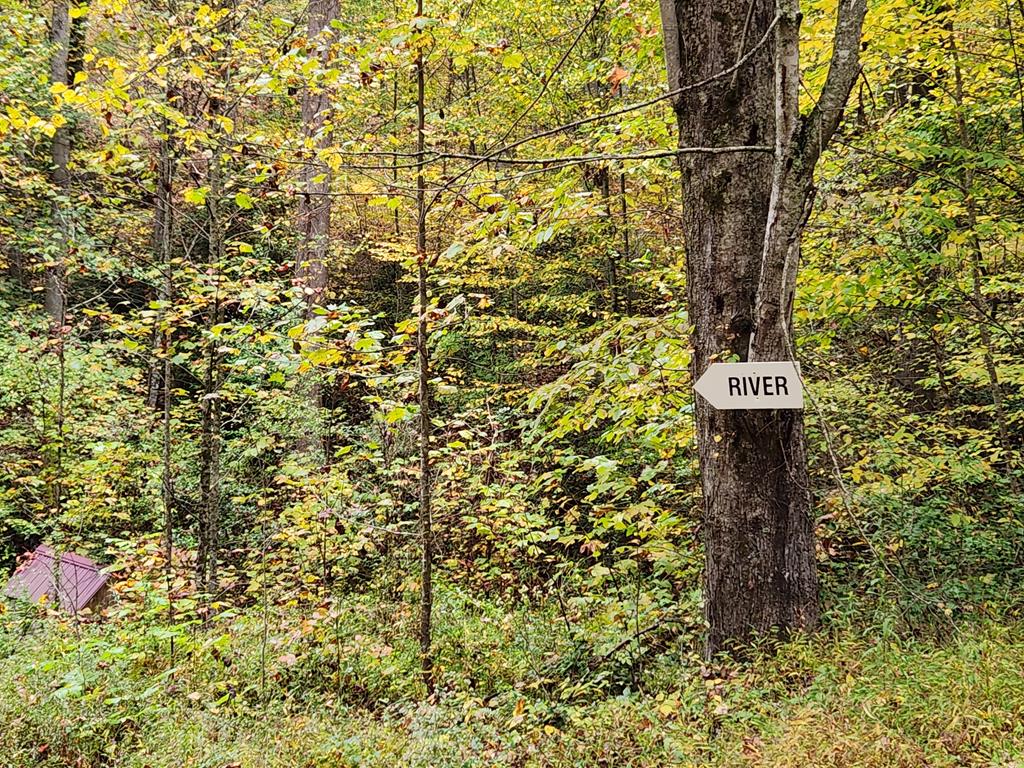 301 Hornet Dr