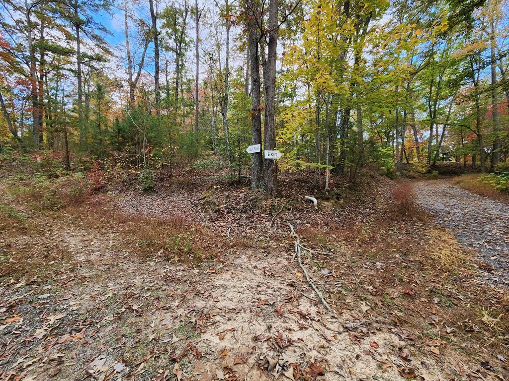 301 Hornet Dr