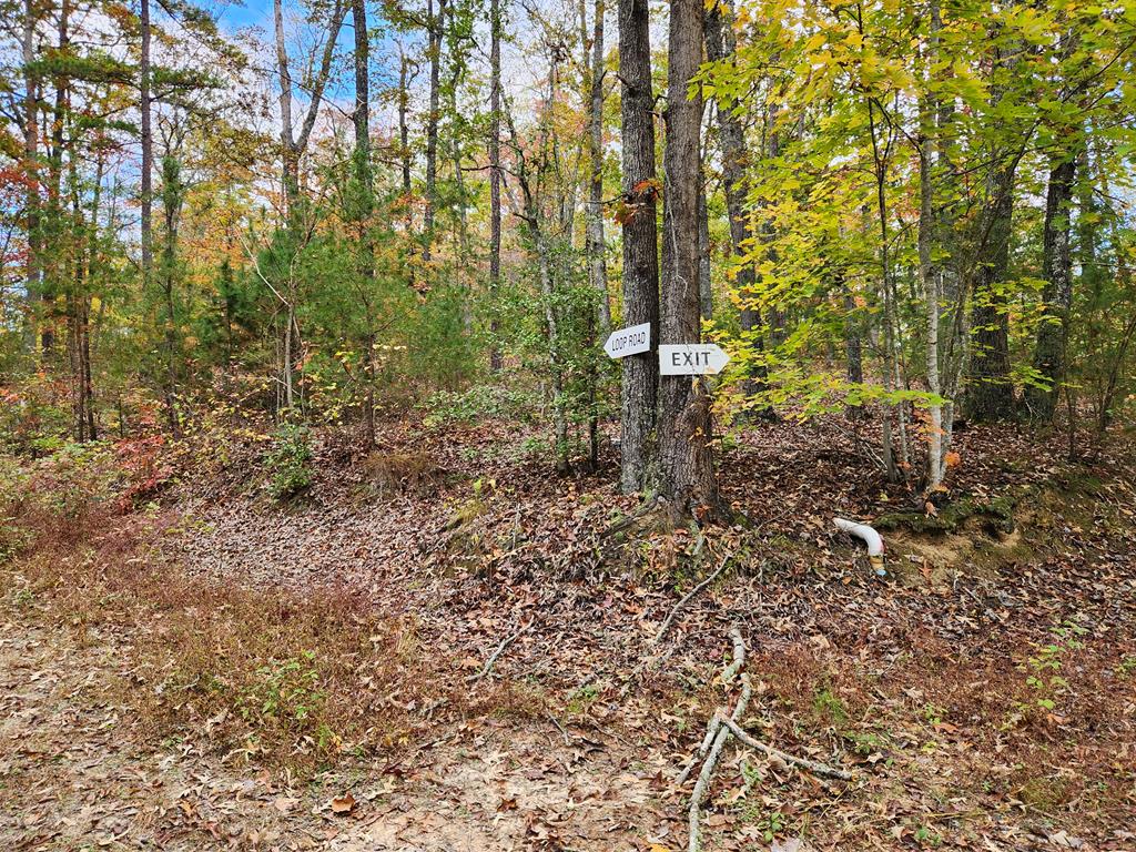 301 Hornet Dr