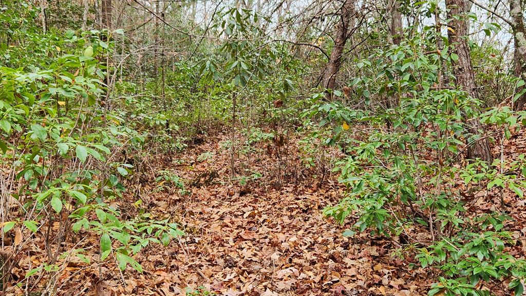 Lot 46 Trimont Lake Estates Rd