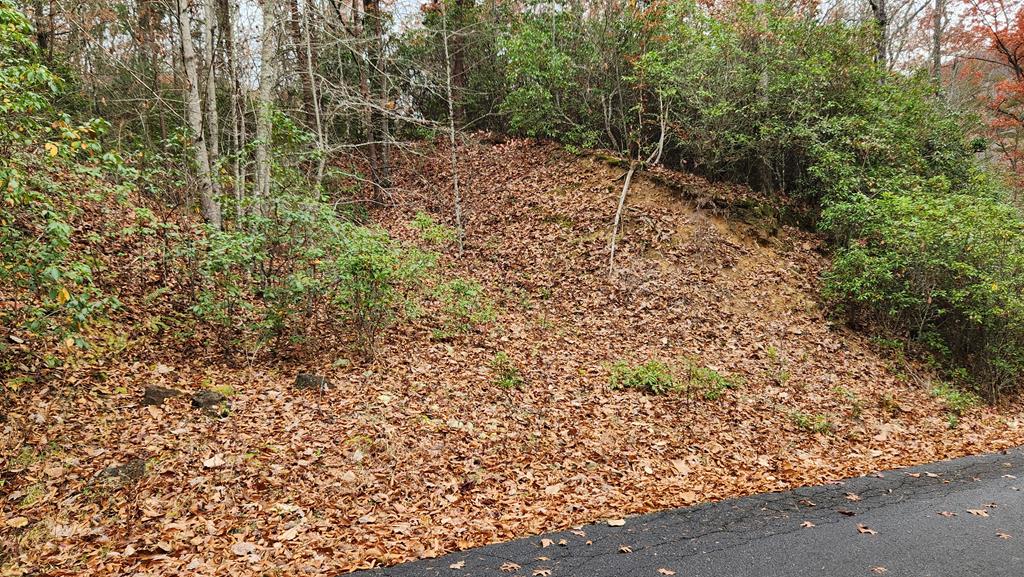 Lot 46 Trimont Lake Estates Rd