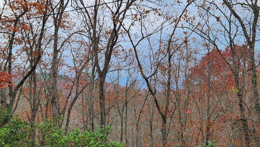 Lot 46 Trimont Lake Estates Rd