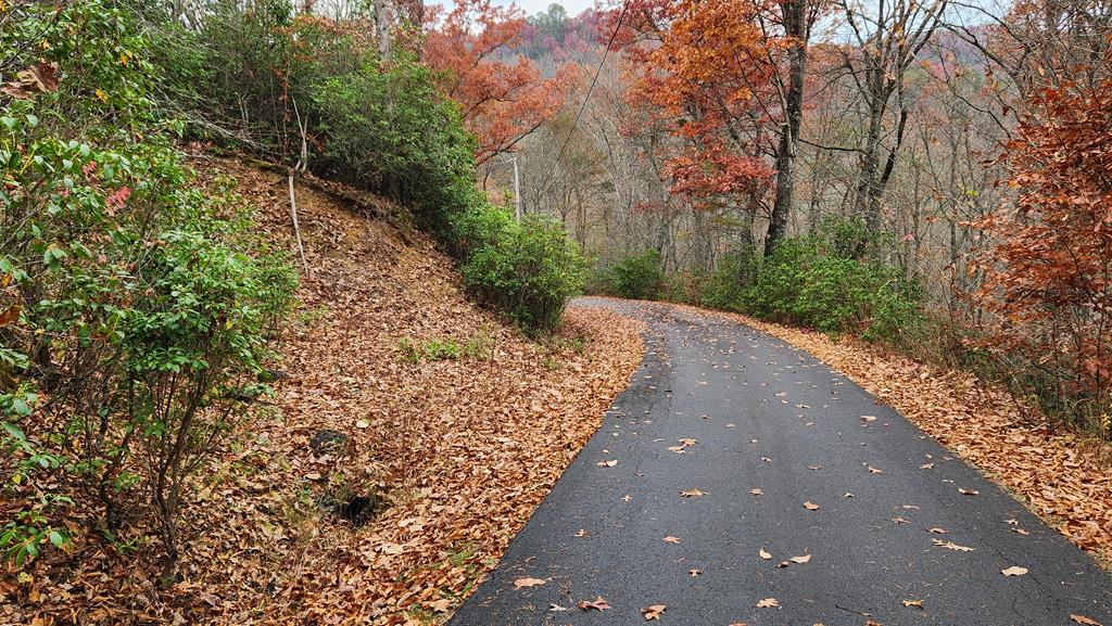 Lot 46 Trimont Lake Estates Rd