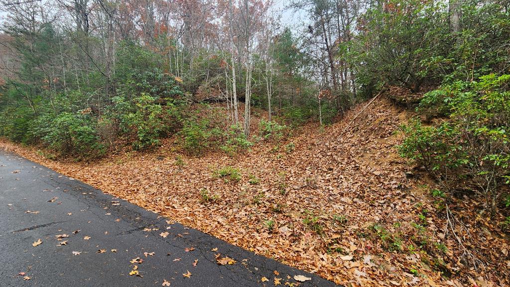Lot 46 Trimont Lake Estates Rd