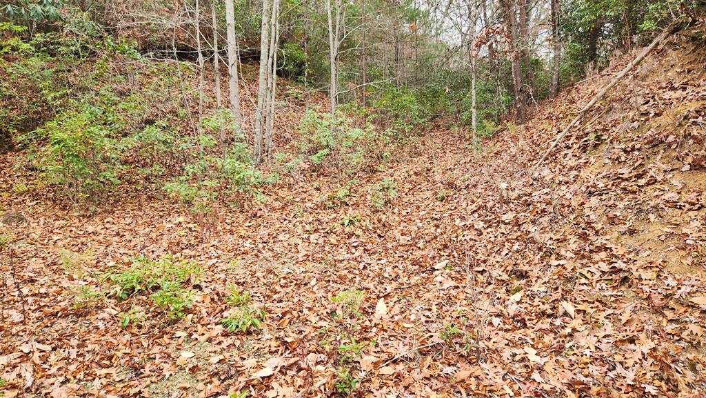 Lot 46 Trimont Lake Estates Rd