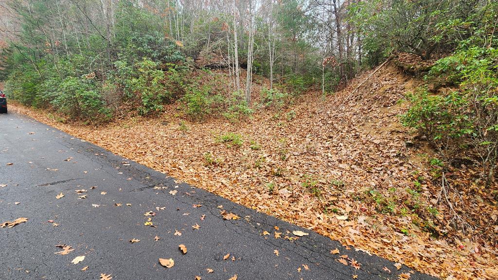 Lot 46 Trimont Lake Estates Rd