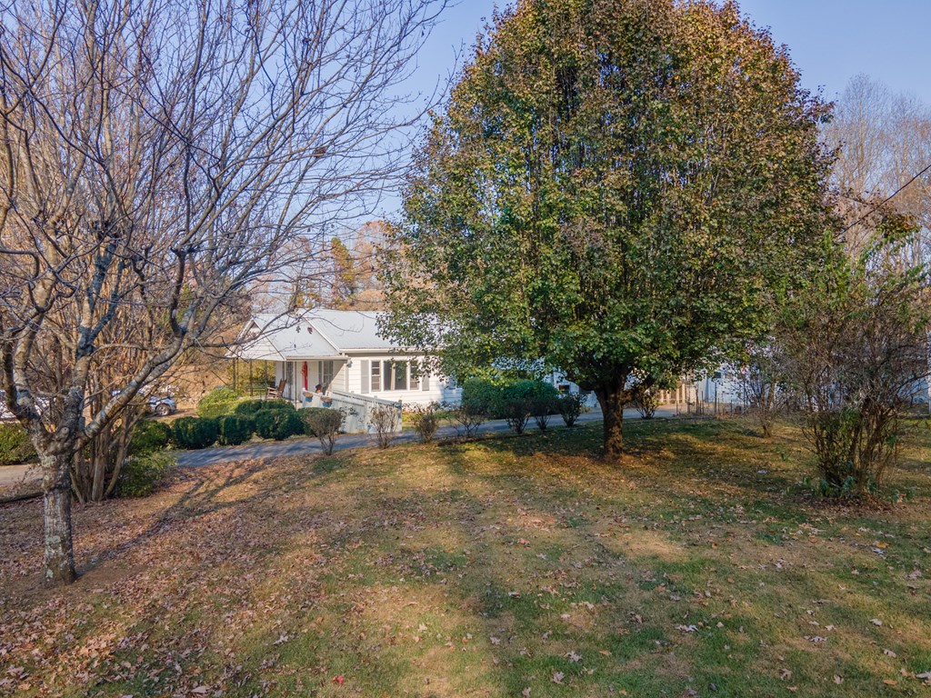 17 North Womack