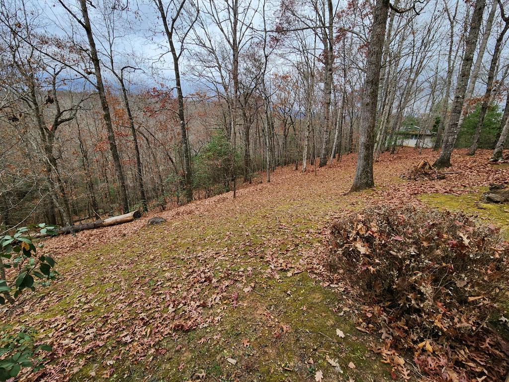 215 Tara Hill Road