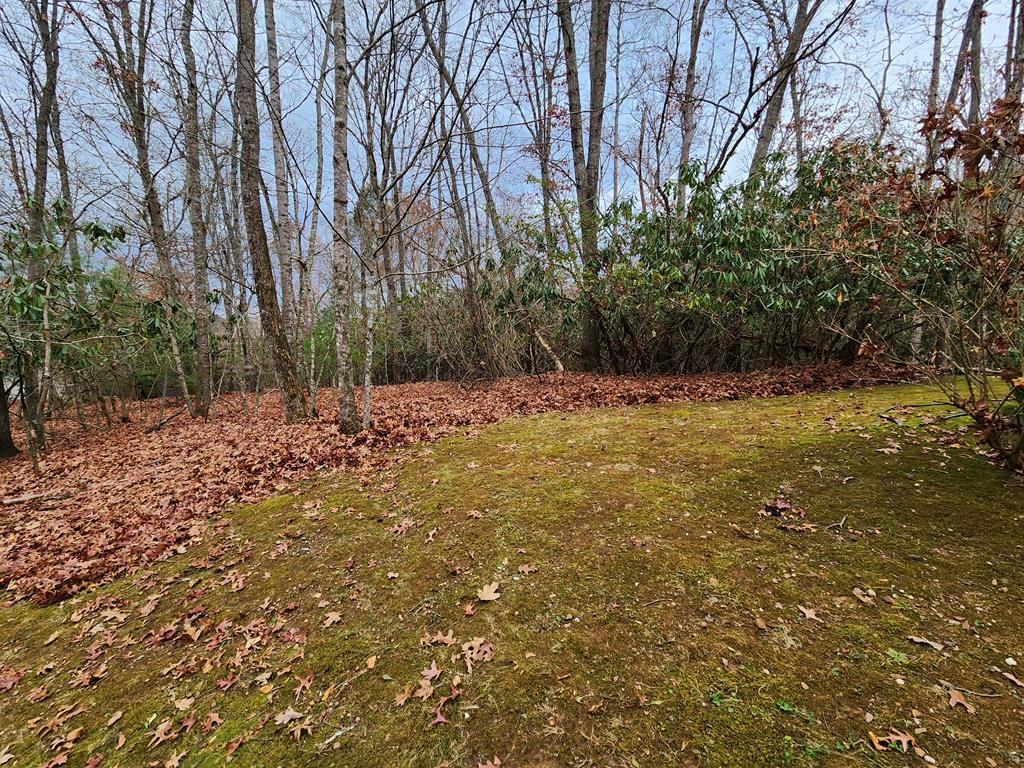 215 Tara Hill Road
